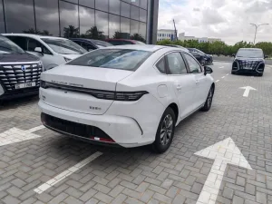 2025 BYD destroyer 05
