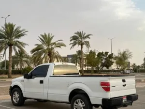 2009 فورد أف ١٥٠ Tremor