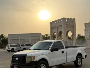2009 فورد أف ١٥٠ Tremor
