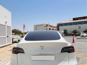2022 تسلا Y موديل Long Range