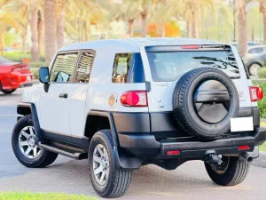 2008 تويوتا أف جي كروزر Adventure X