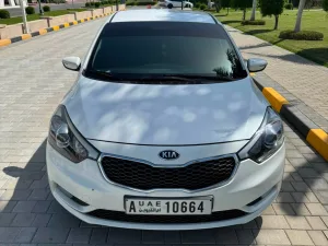 2015 كيا كي ٣ No Trim