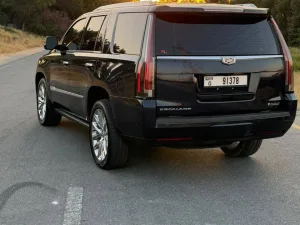 2018 كاديلاك اسكاليد Luxury