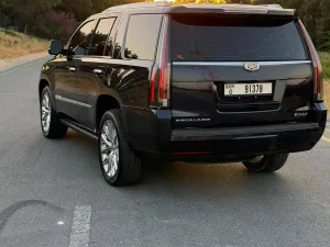 2018 كاديلاك اسكاليد Luxury
