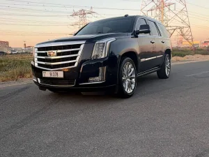 2018 كاديلاك اسكاليد Luxury