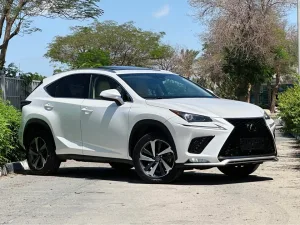 2019 لكزس NX - ان اكس NX300