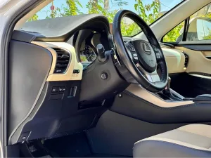 2019 لكزس NX - ان اكس NX300