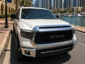 2018 تويوتا سيكويا Platinum