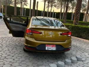 2019 هيونداي النترا Limited
