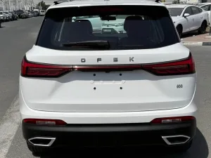 2026 DongFong SX6 No Trim