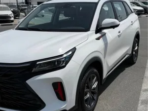 2026 DongFong SX6 No Trim