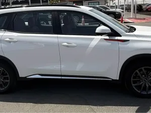 2026 DongFong SX6 No Trim