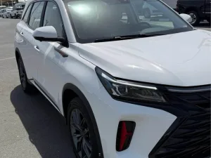 2026 DongFong SX6 No Trim