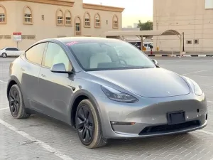2024 تسلا Y موديل No Trim