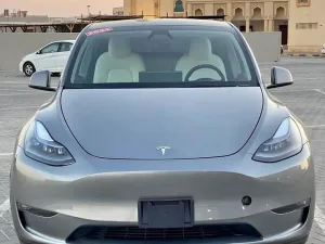 2024 تسلا Y موديل No Trim