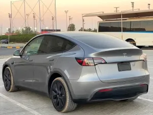2024 تسلا Y موديل No Trim