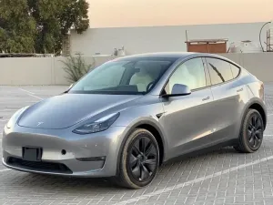 2024 تسلا Y موديل No Trim