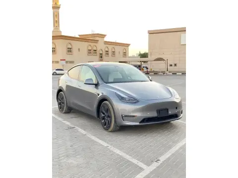 2024 تسلا Y موديل No Trim