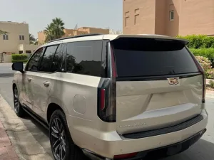 2023 كاديلاك اسكاليد Sport Platinum