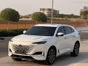2025 تشانجن يوني كي