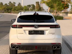 2025 تشانجن يوني كي