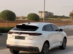 2025 تشانجن يوني كي