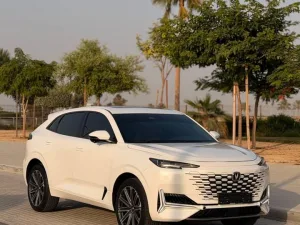 2025 تشانجن يوني كي