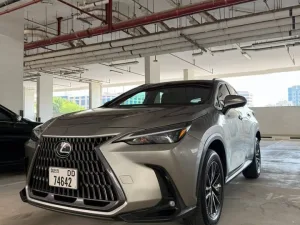 2024 لكزس NX - ان اكس NX250