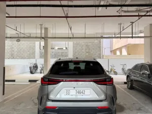 2024 لكزس NX - ان اكس NX250