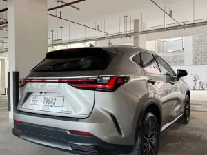2024 لكزس NX - ان اكس NX250