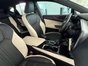 2024 لكزس NX - ان اكس NX250
