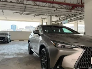 2024 لكزس NX - ان اكس NX250