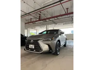 2024 Lexus NX في Dubai سيارة مستعملة