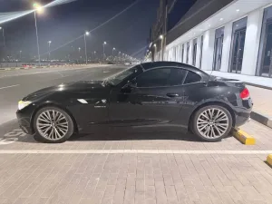 2010 BMW Z4 3.0i