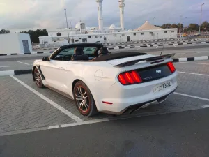 2016 Ford Mustang Shelby GT350
