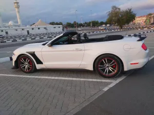 2016 Ford Mustang Shelby GT350