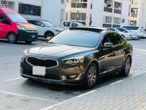 2014 Kia Cadenza Premium