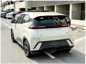 2024 BYD Seagull