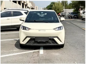 2024 BYD Seagull