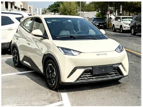 2024 BYD Seagull