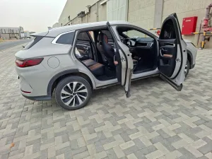2025 BYD Song