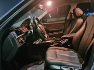 2015 BMW 3-Series 316i