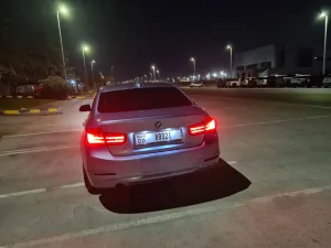 2015 BMW 3-Series 316i