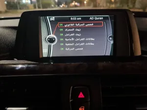 2015 BMW 3-Series 316i
