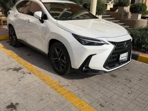 2025 Lexus NX NX250