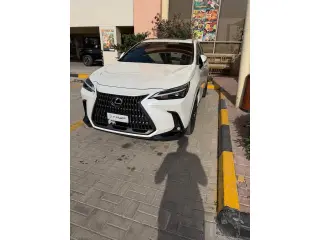 2025 Lexus NX in Ras Al Khaimah used car