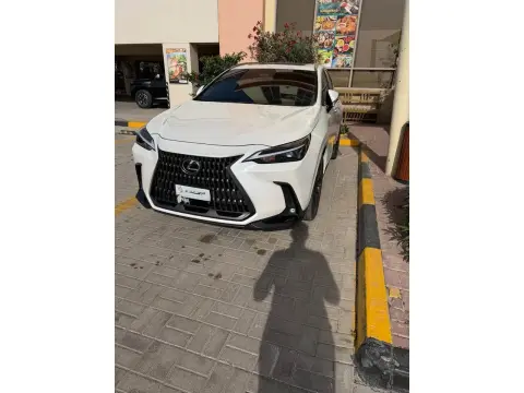 2025 Lexus NX NX250