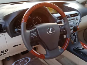 2010 Lexus RX RX 350