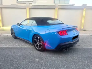 2024 فورد موستانج EcoBoost Convertible