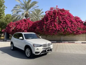 2017 بي أم دابليو اكس - 3 sDrive30i